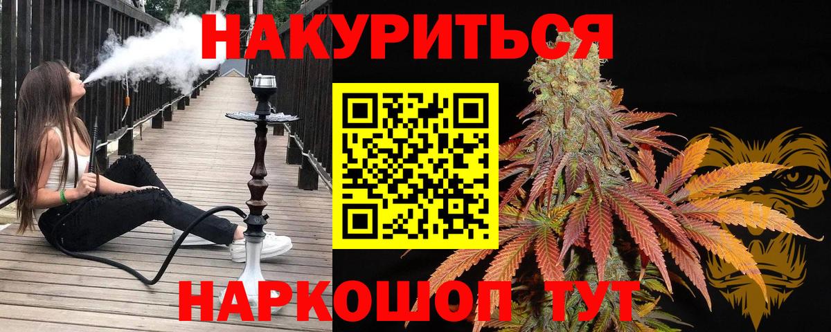 Камышин  Бошки марихуана гибрид  Вход с VPN  МАРИХУАНА гибрид 